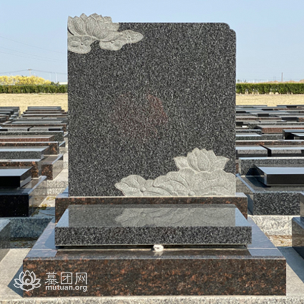 和善园A区第9款